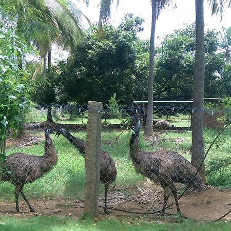Mango Village Farm House Nelliyampathy Buitenkant foto